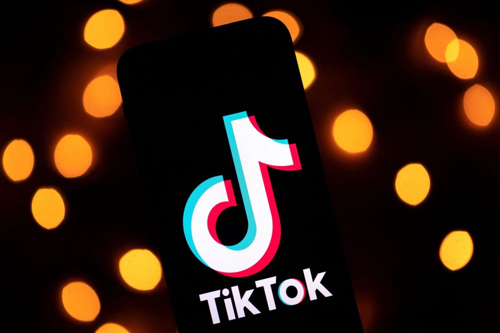 TikTok Video Downloader